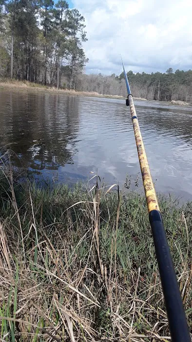 Turkey Fork Recreation Area Picture 3