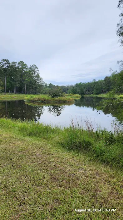 Turkey Fork Recreation Area Picture 2