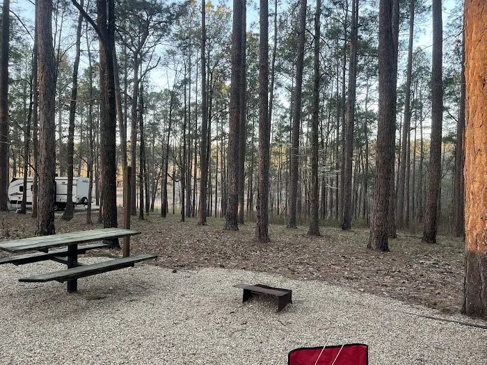 Turkey Fork Recreation Area Picture 9