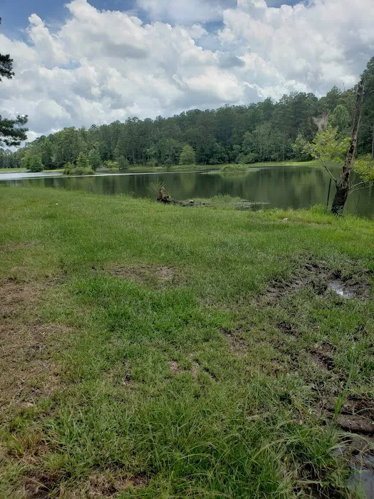 Turkey Fork Recreation Area Picture 8