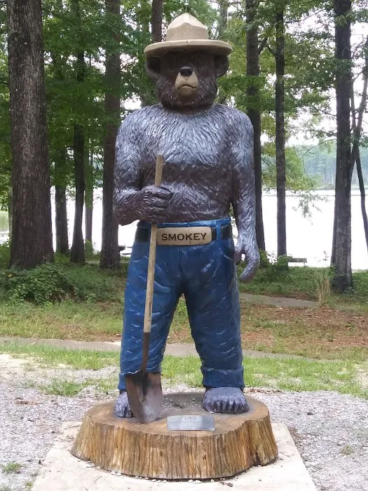 Turkey Fork Recreation Area Picture 1