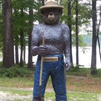 Turkey Fork Recreation Area ico