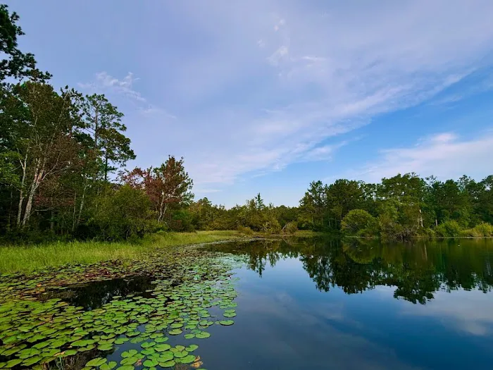 Magic River Campground Picture 2