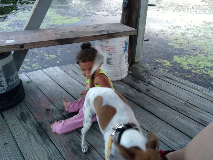 Lake-A-Way Camp Grounds Picture 7