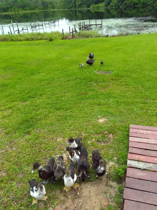 Lake-A-Way Camp Grounds Picture 8