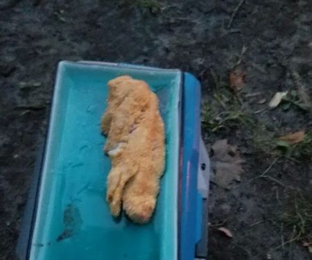 Royalton Sportsmen Grounds (POW WOW Grounds)