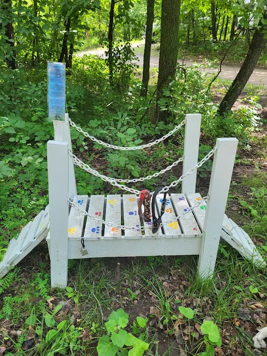 Birch Lake Campground and Day-Use Area Picture 9