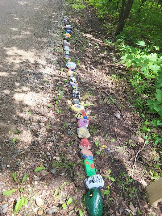 Birch Lake Campground and Day-Use Area Picture 10