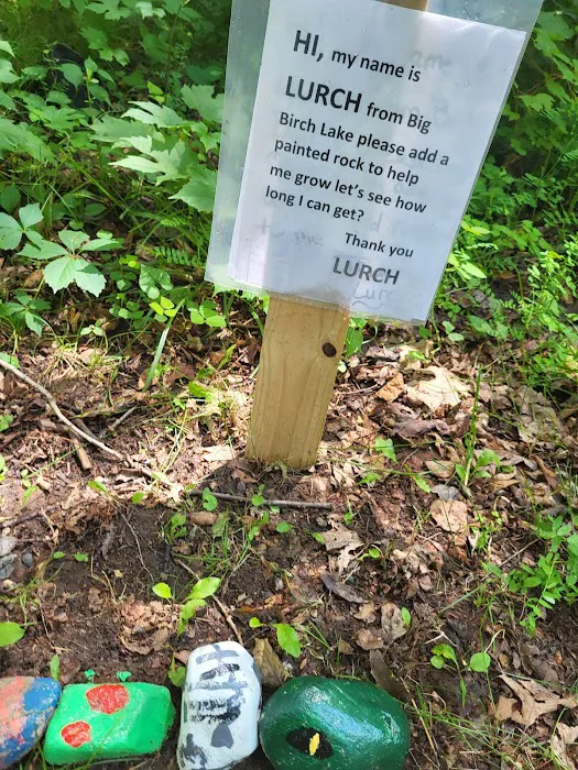 Birch Lake Campground and Day-Use Area Picture 8