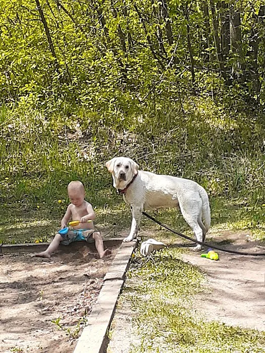 Birch Lake Campground and Day-Use Area Picture 7