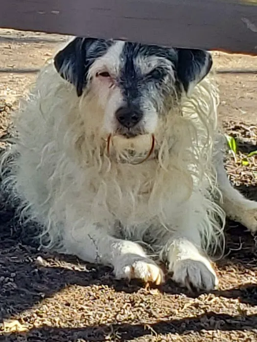 Birch Lake Campground and Day-Use Area Picture 4