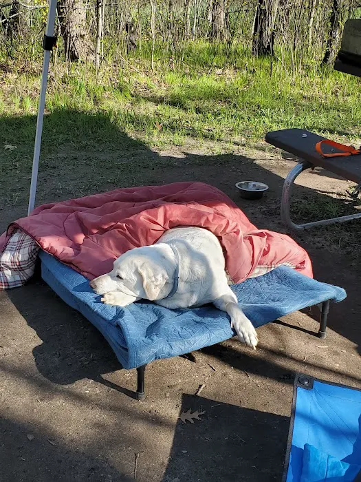 Birch Lake Campground and Day-Use Area Picture 5