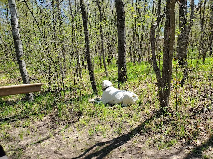Birch Lake Campground and Day-Use Area Picture 2