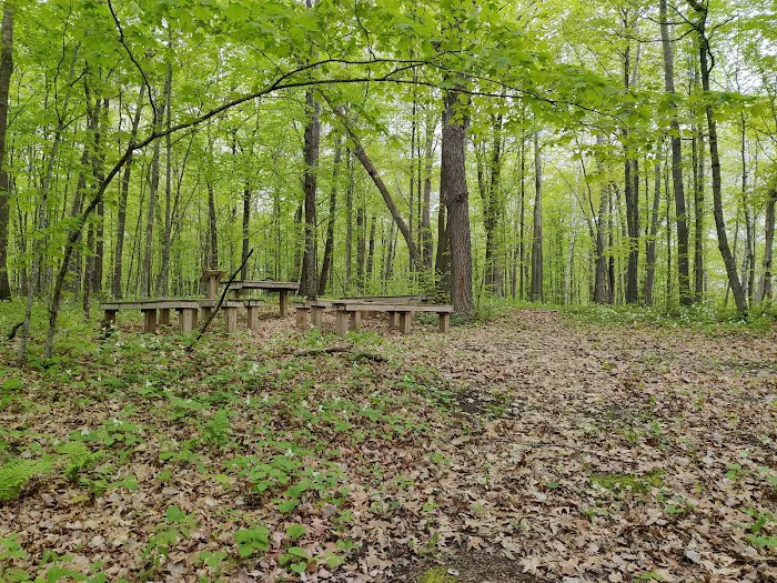 College of Wilderness Knowledge-Birch Bend Camp Picture 3