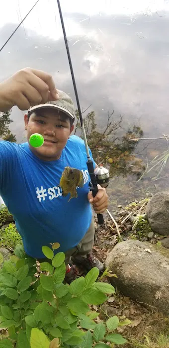 College of Wilderness Knowledge-Birch Bend Camp Picture 4