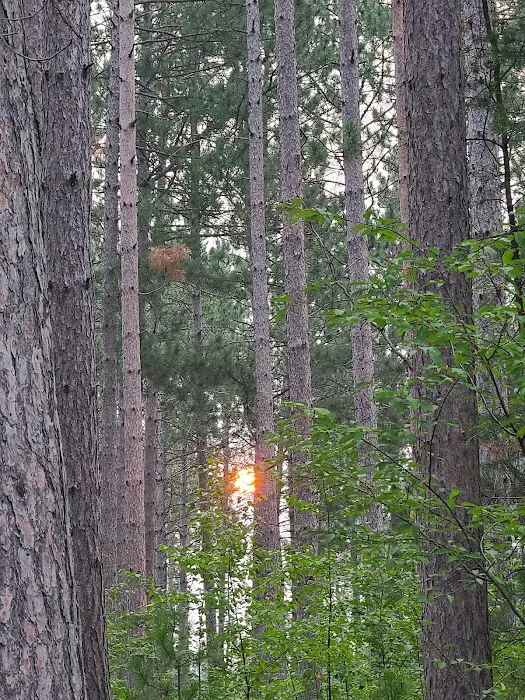 Willow River Campground Picture 9