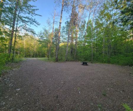 Private Campsite in Sturgeon Lake