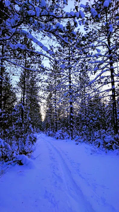Timberline Campground Picture 1