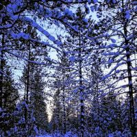 Timberline Campground ico