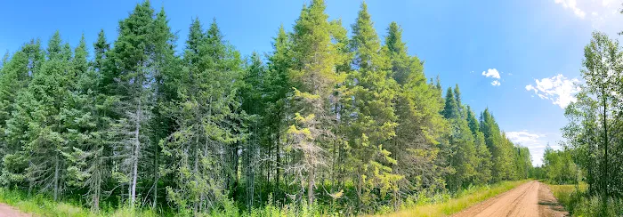 Moosehorn Campground Picture 5