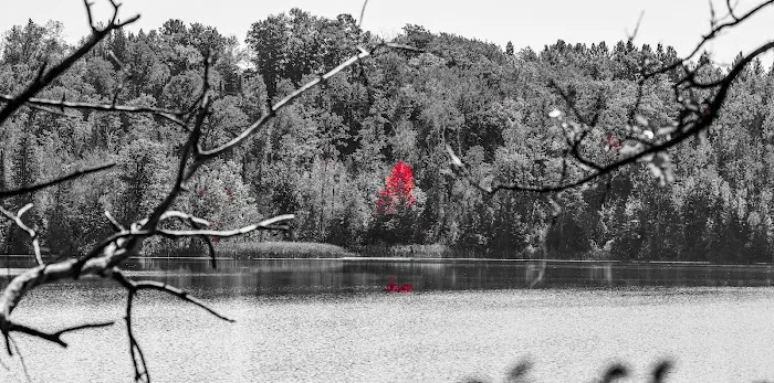 Barnum City Park Campground Picture 2