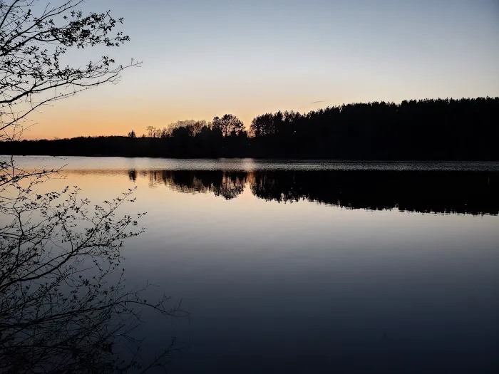 Moose Lake State Park Campground Picture 3
