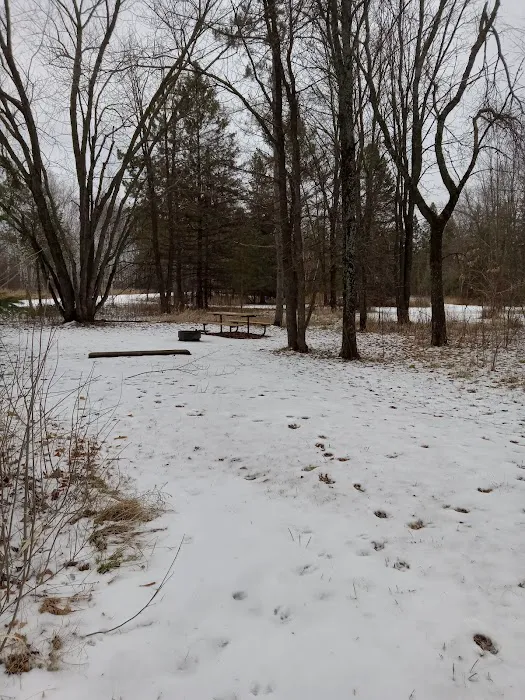Moose Lake State Park Campground Picture 6