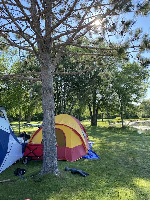 Moose Lake Park & Campground Picture 9