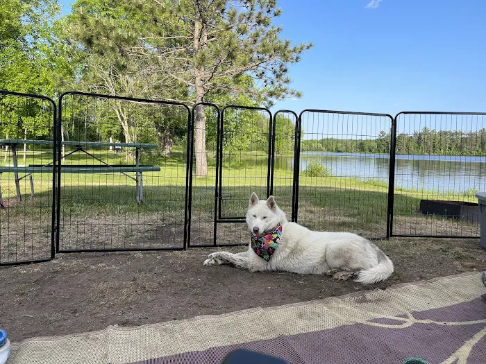 Moose Lake Park & Campground Picture 5