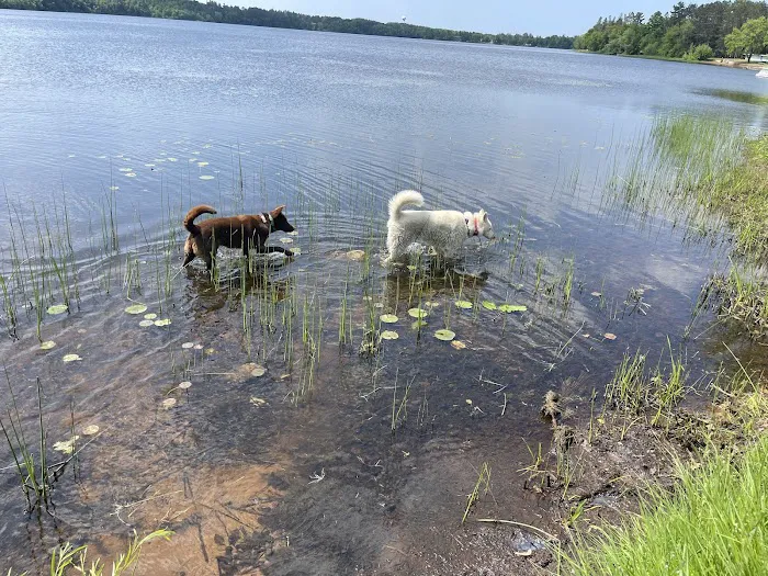 Moose Lake Park & Campground Picture 4