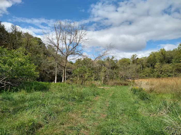 Hohneke Pond site #1 Picture 9