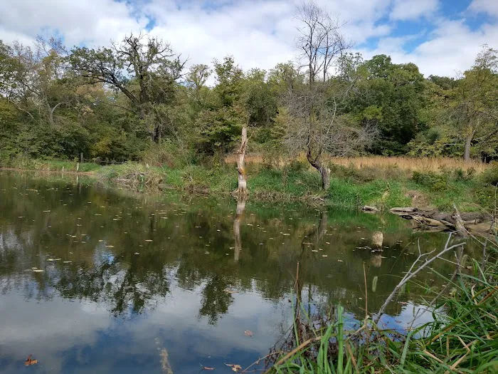 Hohneke Pond site #1 Picture 10