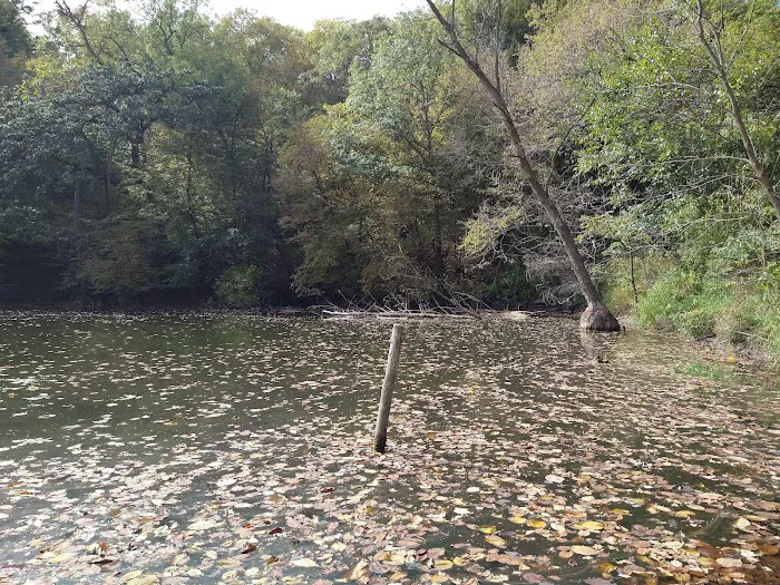 Hohneke Pond site #1 Picture 7