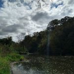 Hohneke Pond site #1