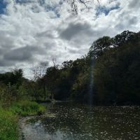 Hohneke Pond site #1 ico