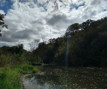 Hohneke Pond site #1