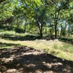 Badger Ridge Campsite