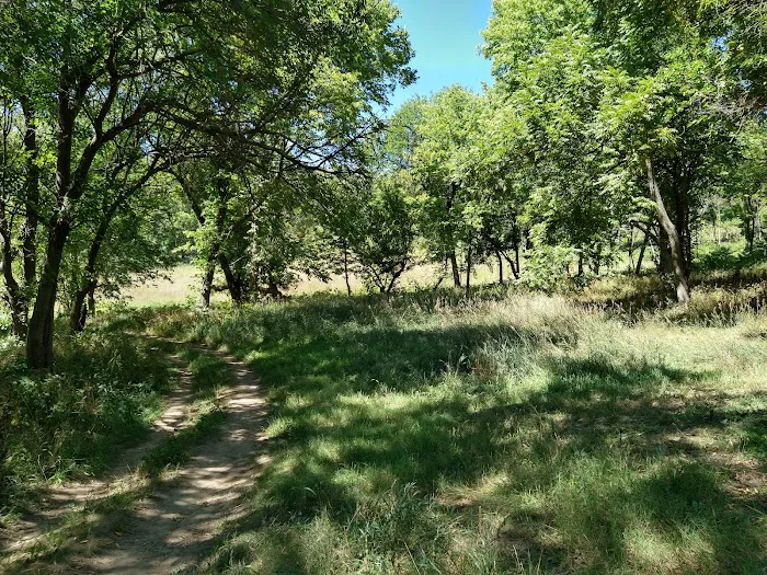 Badger Ridge Campsite Picture 3