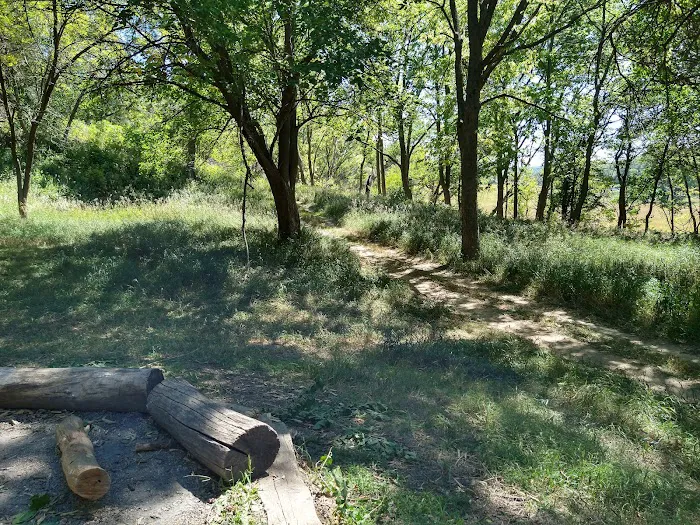 Badger Ridge Campsite Picture 6