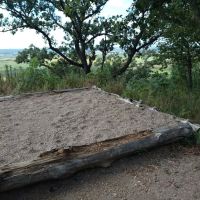 Cottonwood Campsite ico