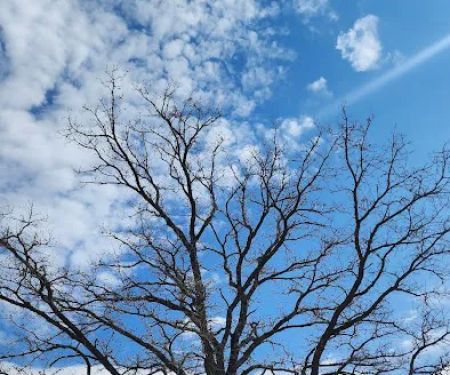 Schaben Park Campground