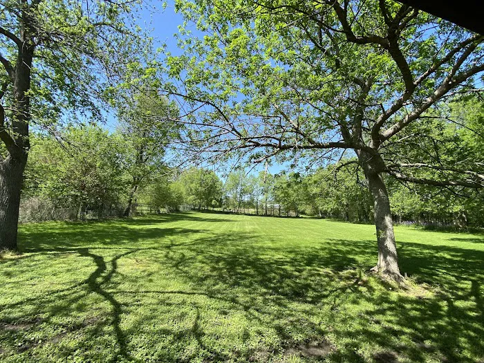 Coin Trailhead Camping Picture 4