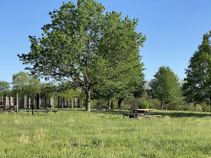 Waubonsie State Park Equestrian Campground Picture 6