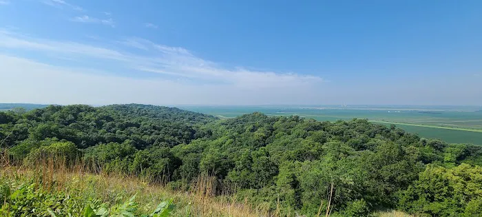 Waubonsie State Park Campground Picture 8
