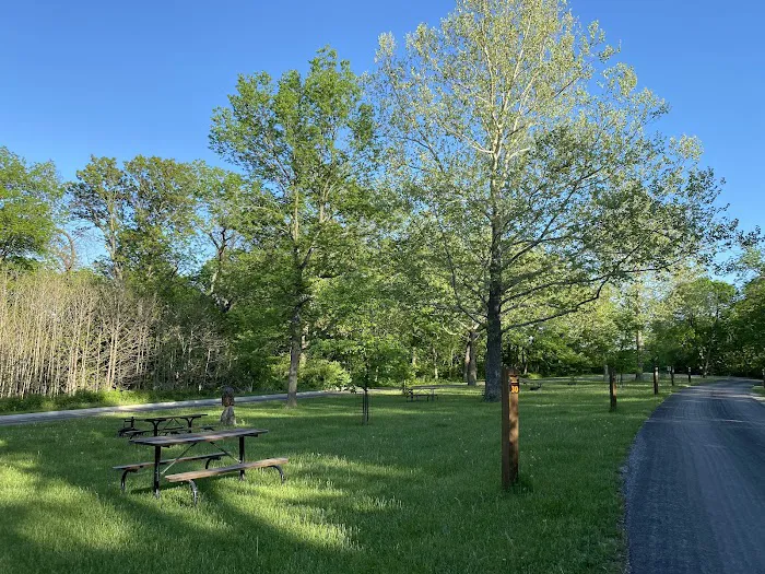 Waubonsie State Park Campground Picture 5
