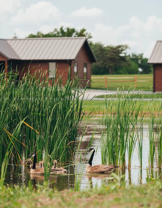 Hidden Acres Cabin Rental Picture 8