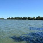 Swenson County Park at Current Lake