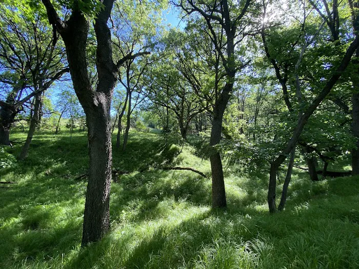 Oak Grove County Park (with State Lands) Picture 3