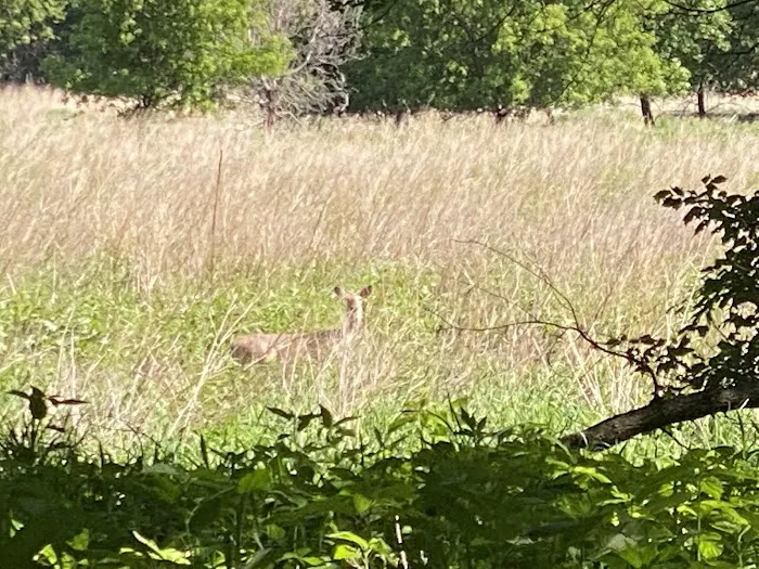 Oak Grove County Park (with State Lands) Picture 8