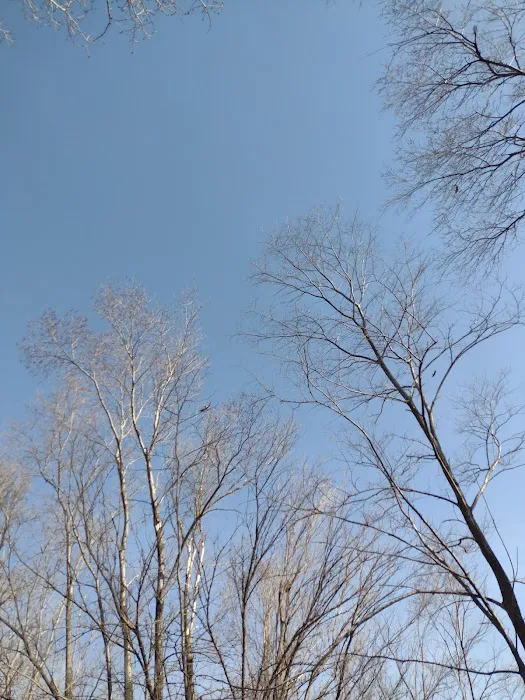 Big Sioux Rec Area Campground Picture 5